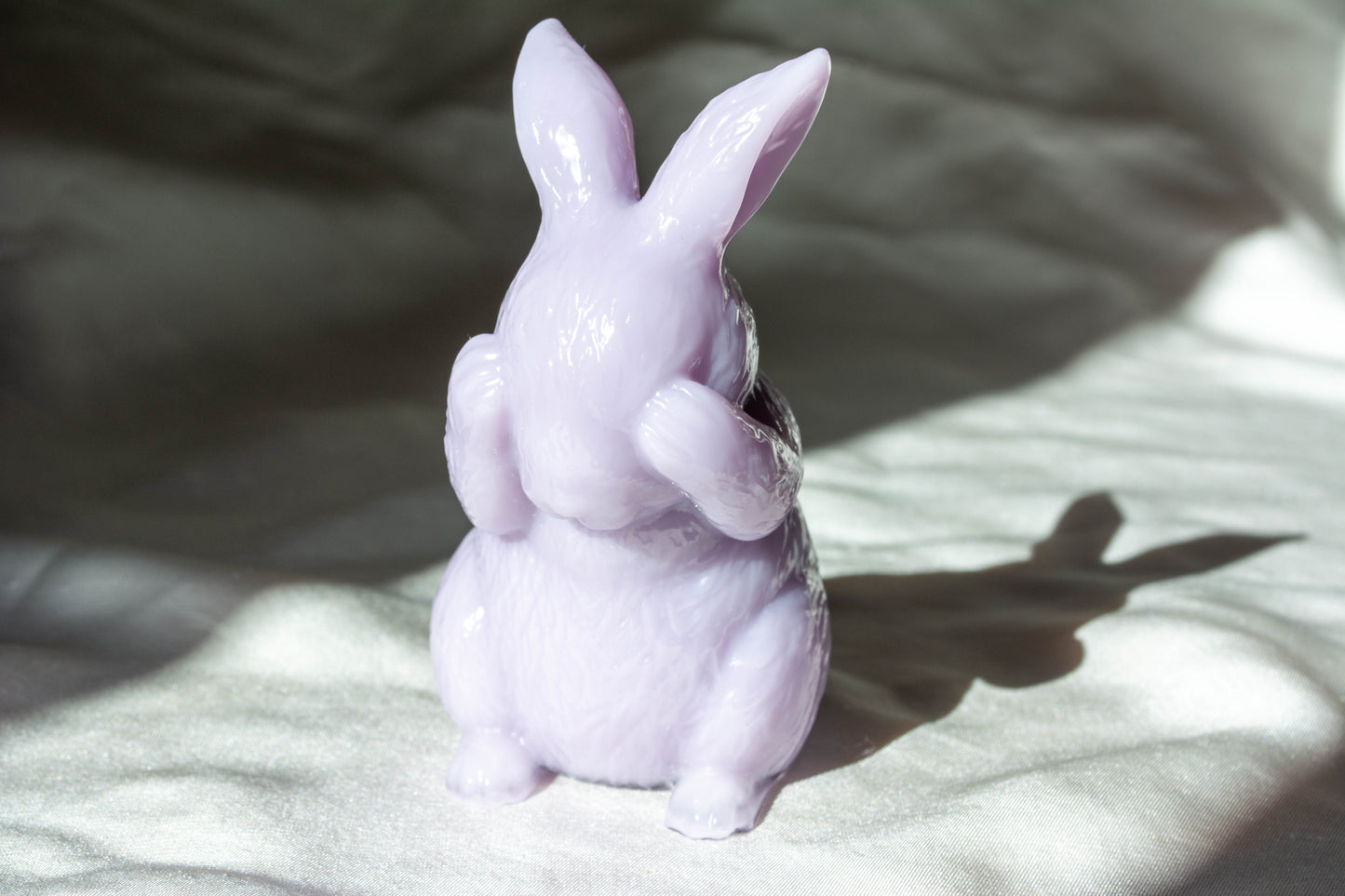 Lapin qui se cache les yeux