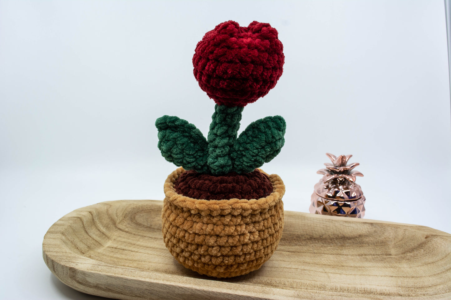 Pot de fleur et sa tulipe