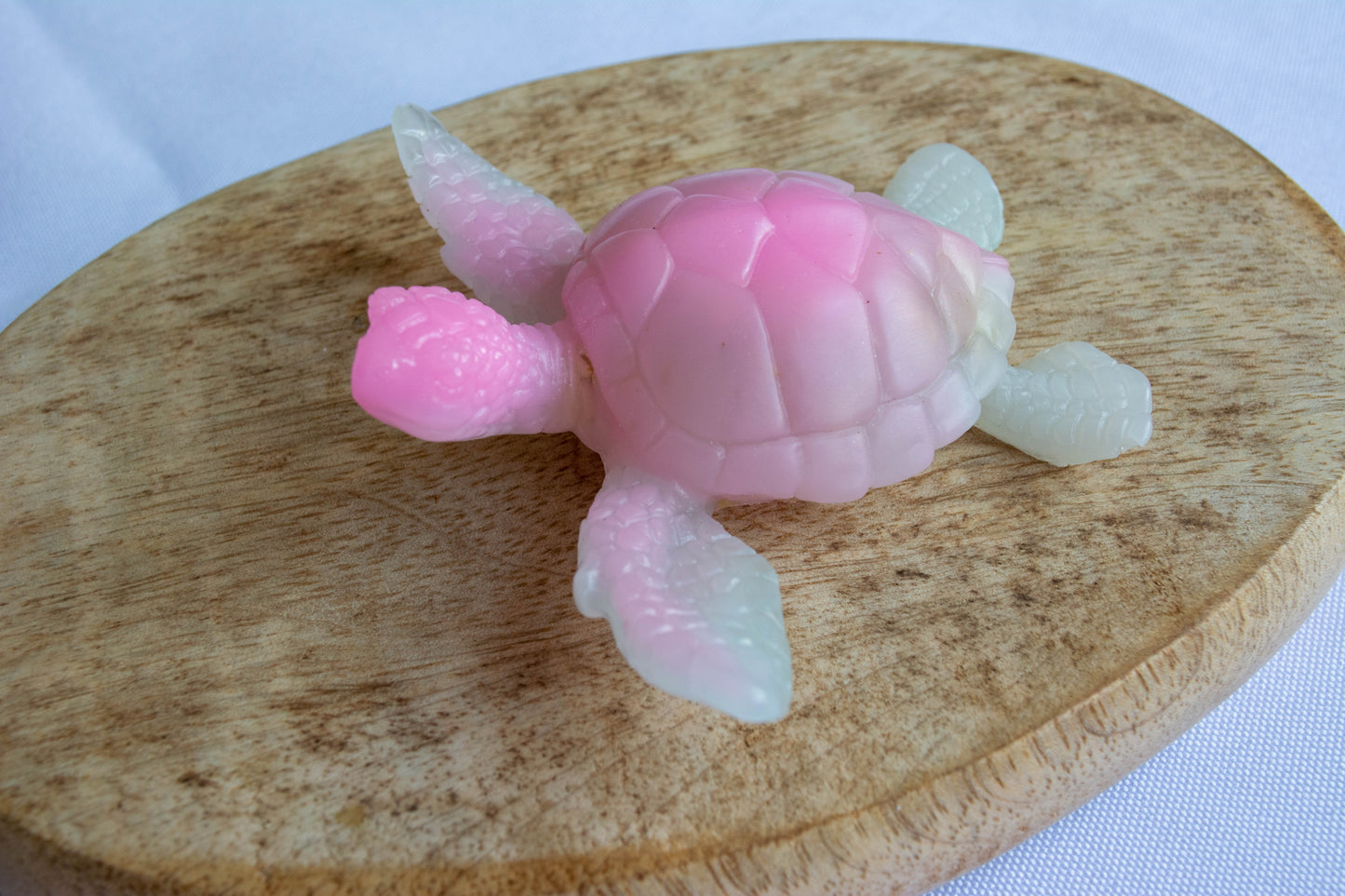 Tortue