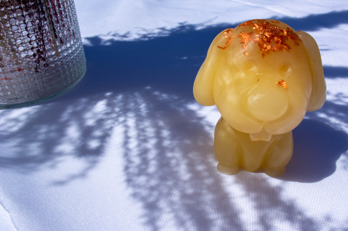 Chien grosse truffe