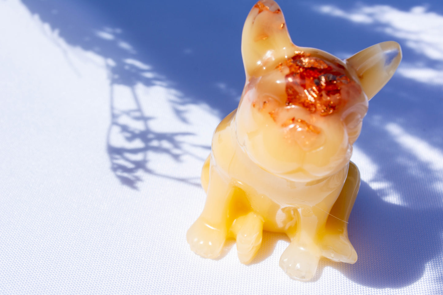 Chien bouledogue