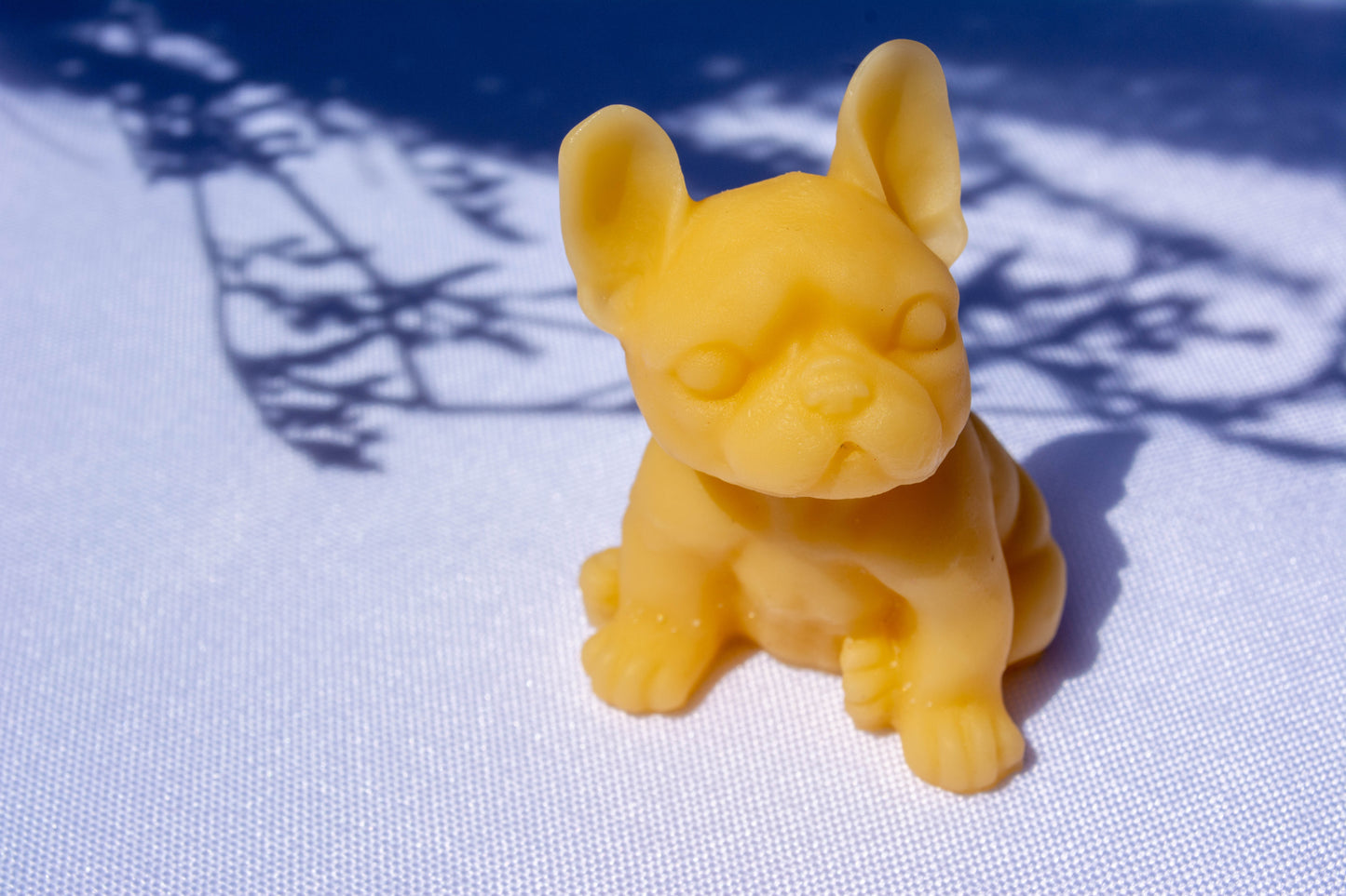 Mini Bouledogue