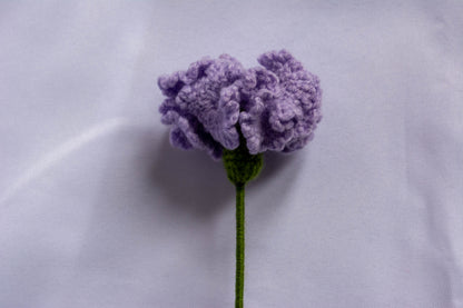 Œillet au crochet