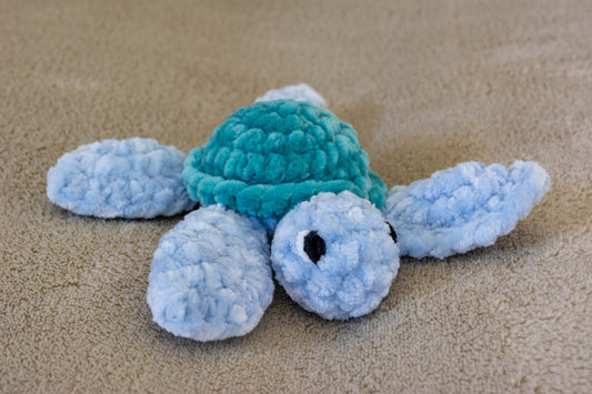 Eva la tortue d'eau