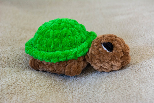 Lune la tortue de terre