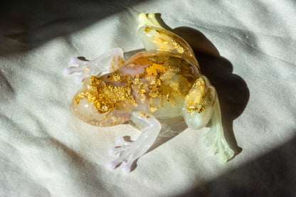 Grenouille XXL