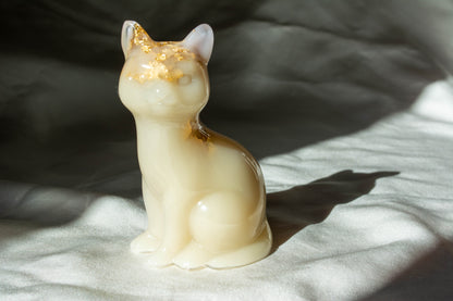 Chat assis
