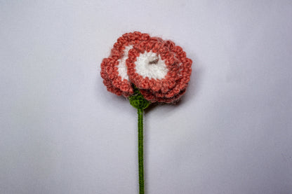Œillet au crochet