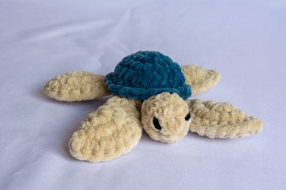 Eva la tortue d'eau