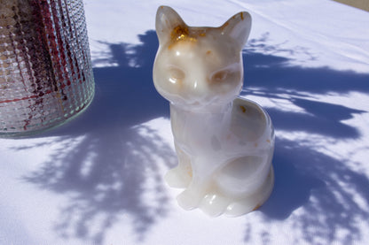 Chat assis