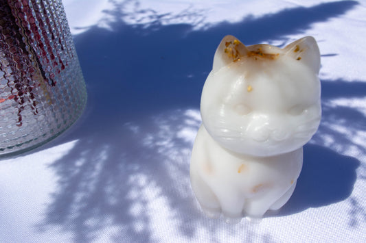 Chat statut