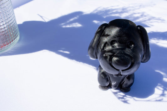 Chien grosse truffe