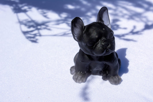 Mini Bouledogue