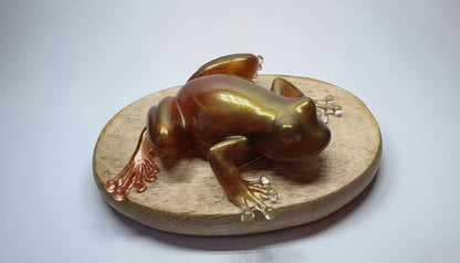 Grenouille XXL