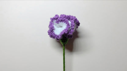 Œillet au crochet