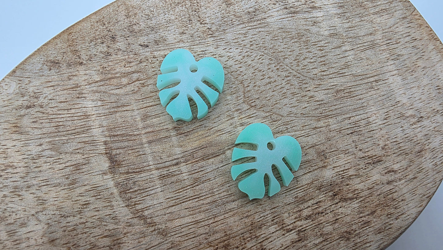 Pampilles Mini Monstera
