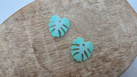 Pampilles Mini Monstera