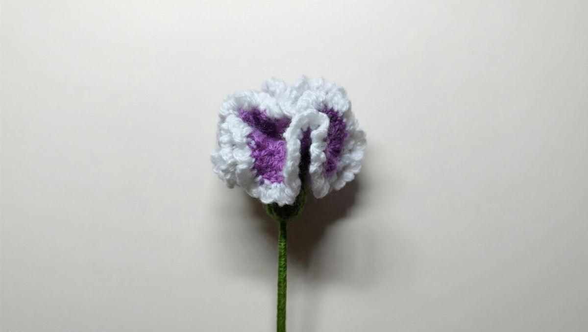 Œillet au crochet