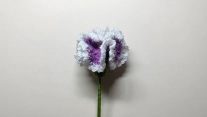 Œillet au crochet